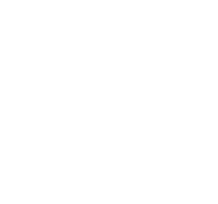 FlyGlobal